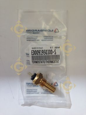 Spare parts Thermostat 9195030 For Engines LOMBARDINI, by marks LOMBARDINI